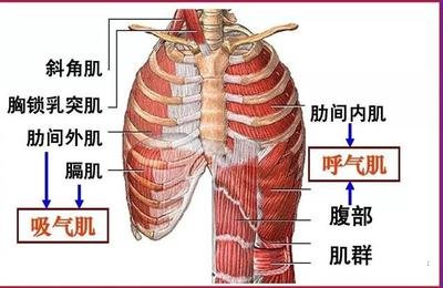 &#29699;&#36895;&#20307;&#32946;&#24179;&#21488;&#45;&#29699;&#36895;&#65288;&#20013;&#22269;&#65289;