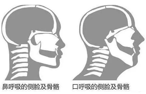 &#29699;&#36895;&#20307;&#32946;&#24179;&#21488;&#45;&#29699;&#36895;&#65288;&#20013;&#22269;&#65289;