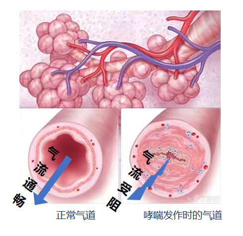 &#29699;&#36895;&#20307;&#32946;&#24179;&#21488;&#45;&#29699;&#36895;&#65288;&#20013;&#22269;&#65289;