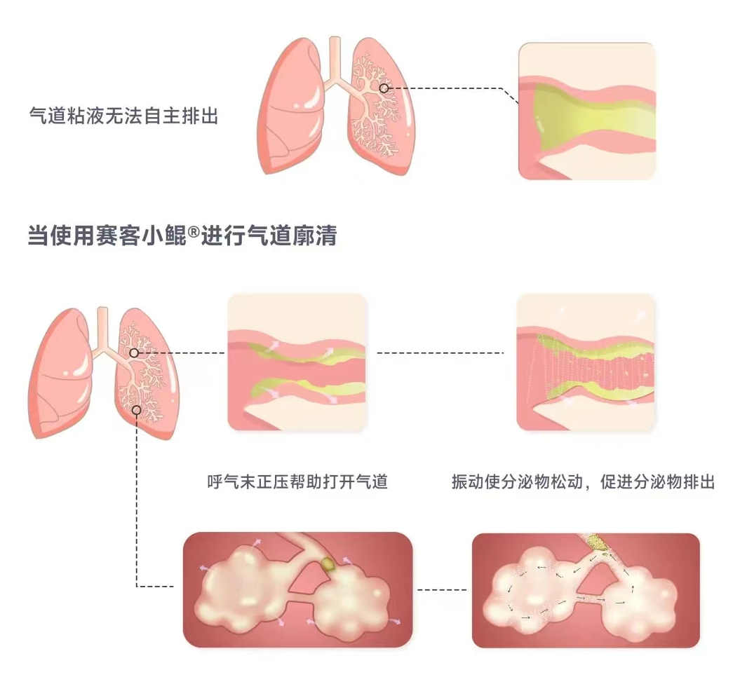 &#29699;&#36895;&#20307;&#32946;&#24179;&#21488;&#45;&#29699;&#36895;&#65288;&#20013;&#22269;&#65289;