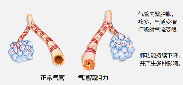 &#29699;&#36895;&#20307;&#32946;&#24179;&#21488;&#45;&#29699;&#36895;&#65288;&#20013;&#22269;&#65289;